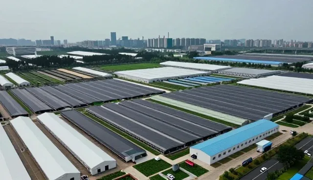 新媒体运营中宣传片制作的性能与适用场景分析