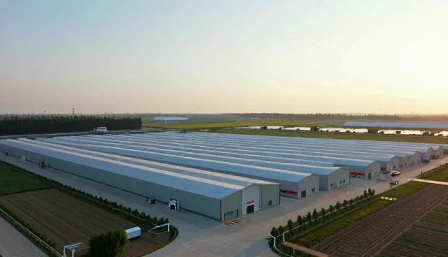 设计工具选型中的关键考量因素分析